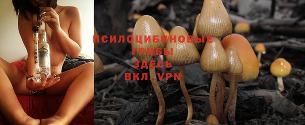 ГАЛЛЮЦИНОГЕННЫЕ ГРИБЫ Алзамай
