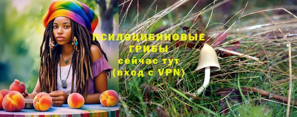 ГАЛЛЮЦИНОГЕННЫЕ ГРИБЫ Алзамай