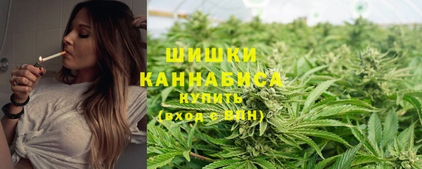 ГАЛЛЮЦИНОГЕННЫЕ ГРИБЫ Алзамай