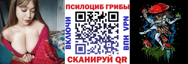 Галлюциногенные грибы Psilocybine cubensis Алексин